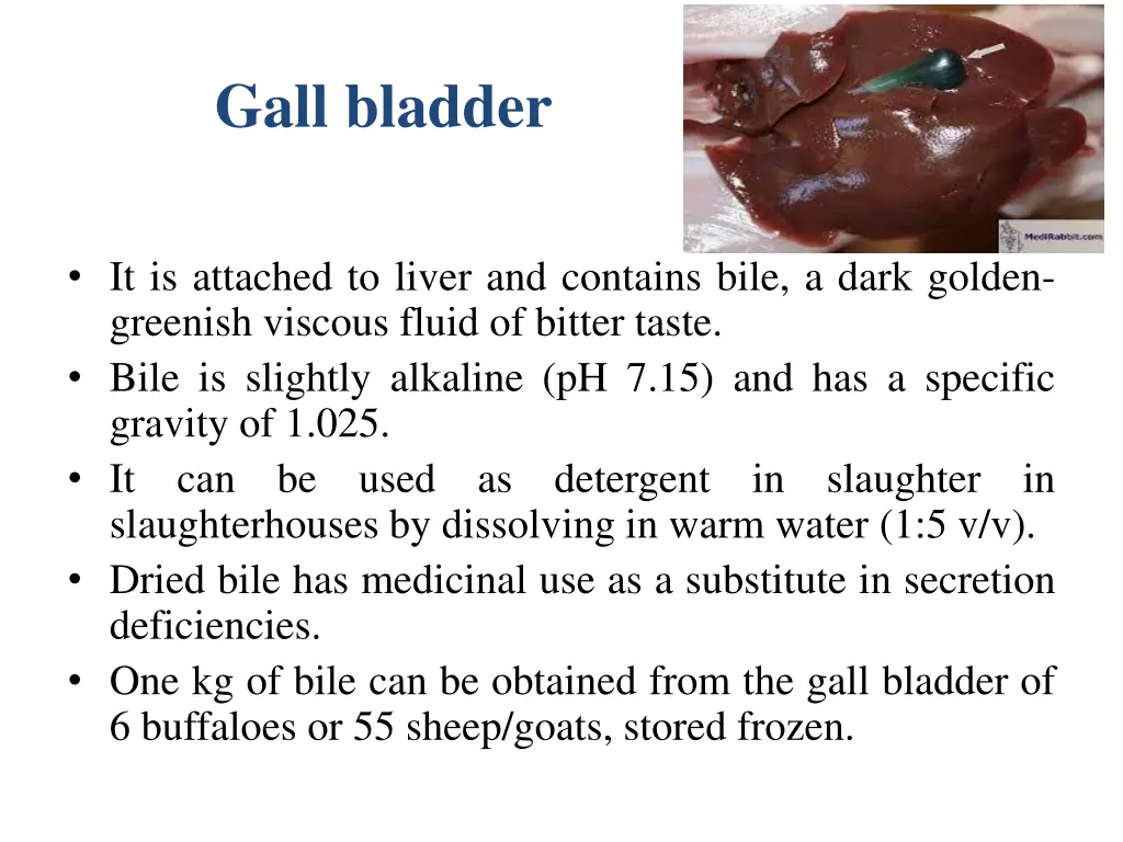 gall bladder