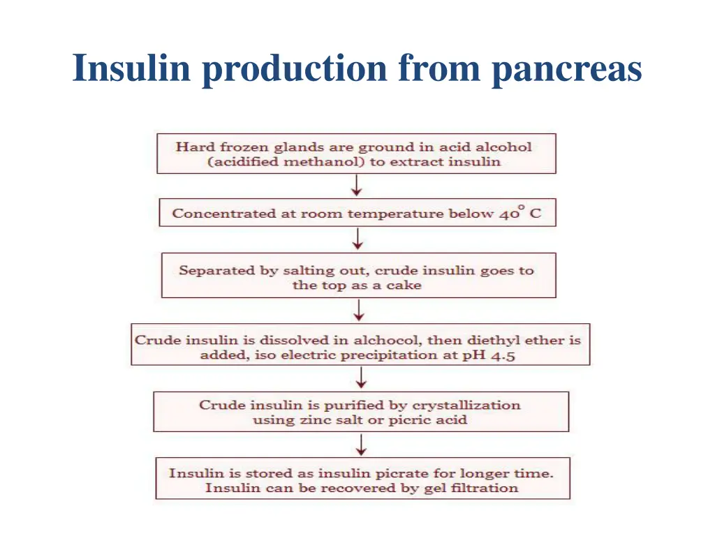 insulin production from pancreas