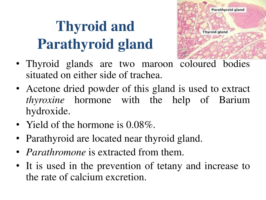 thyroid and parathyroid gland