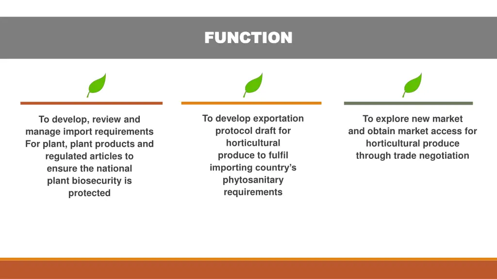 function function 1