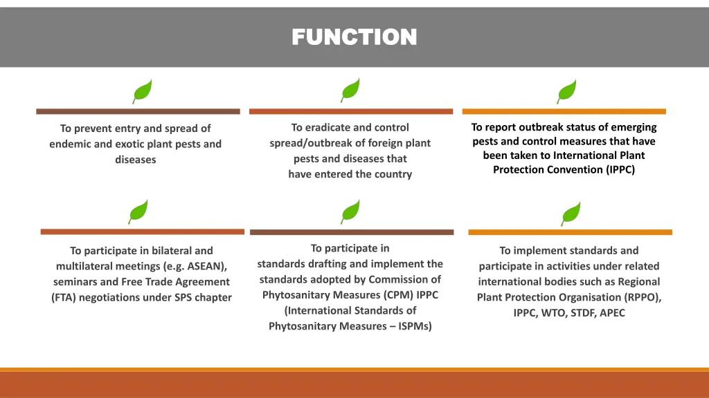 function function 2