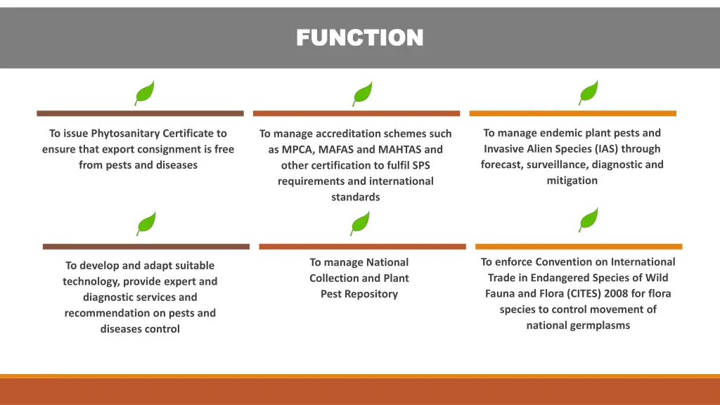 function function 3