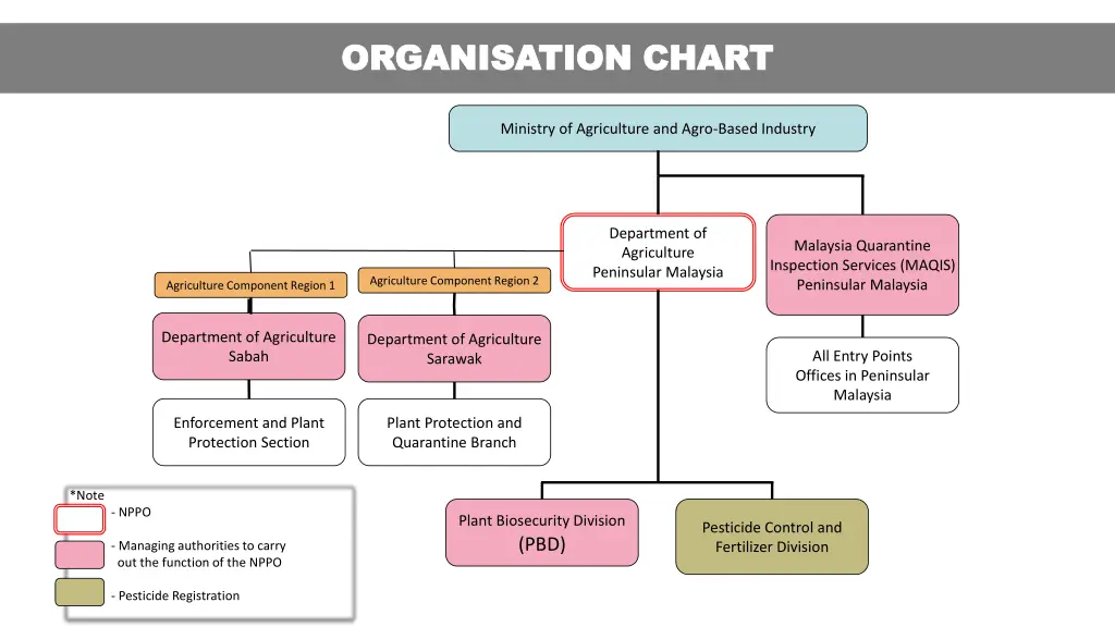 organisation chart organisation chart