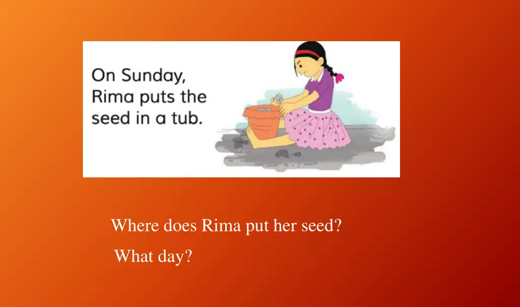 where does rima put her seed