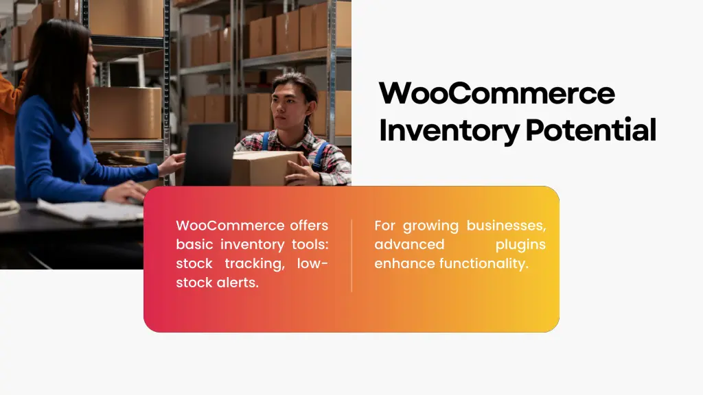 woocommerce offers basic inventory tools stock