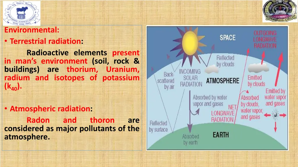 environmental terrestrial radiation radioactive