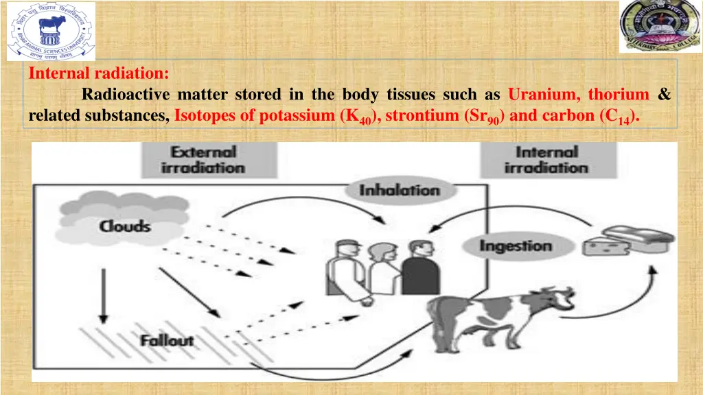 internal radiation radioactive matter stored