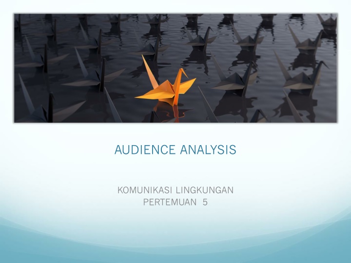 audience analysis