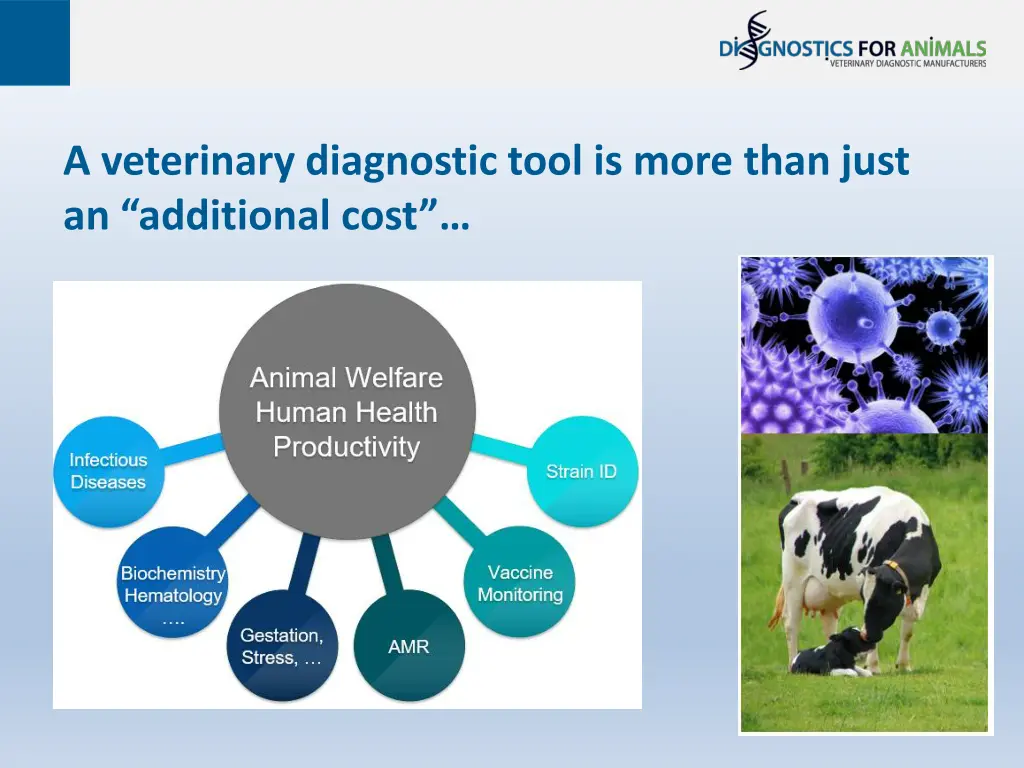 a veterinary diagnostic tool is more than just