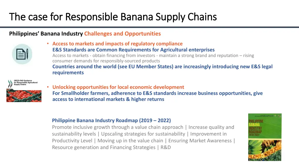 the case for responsible banana supply chains