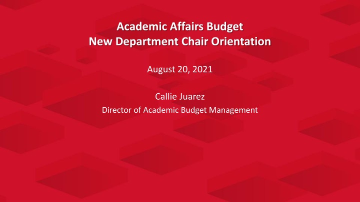 academic affairs budget new department chair