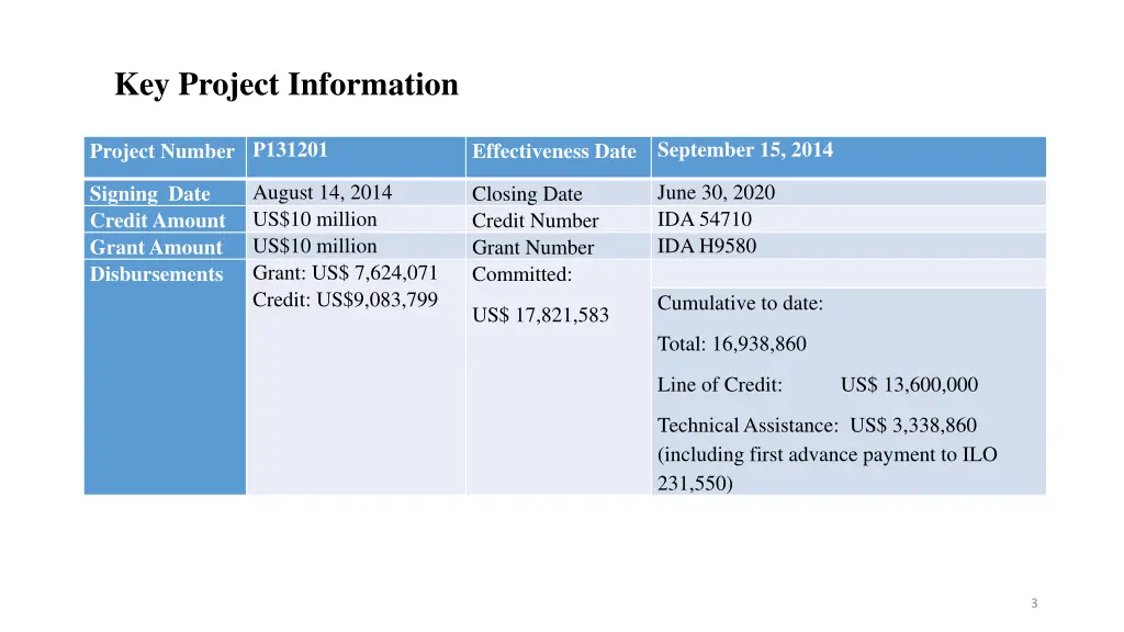 key project information