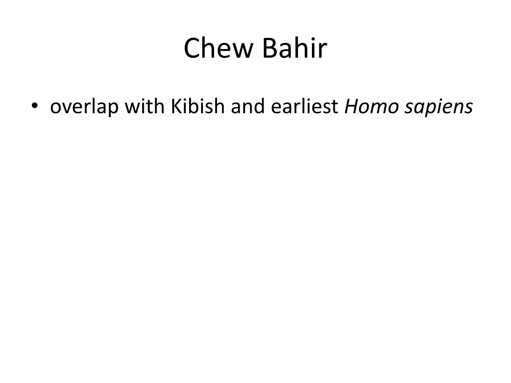 chew bahir