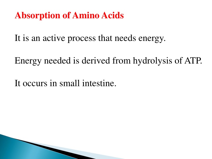 absorption of amino acids