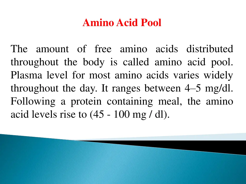 amino acid pool