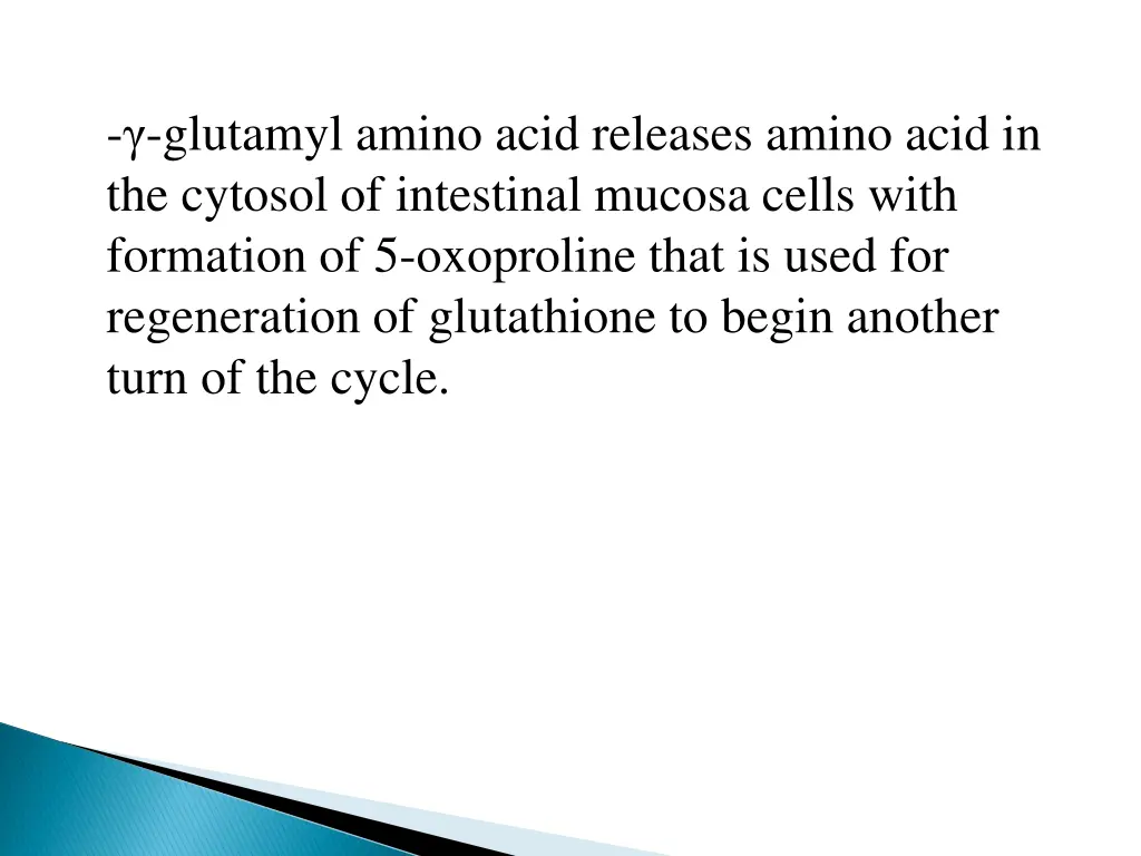 glutamyl amino acid releases amino acid