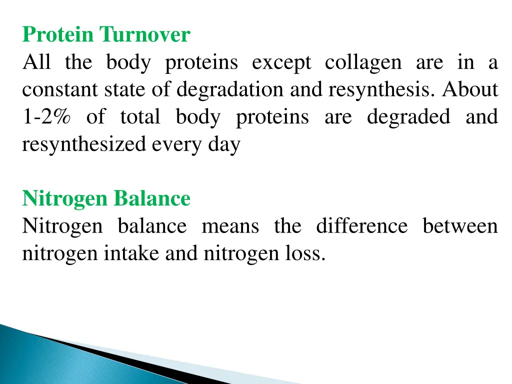 protein turnover all the body proteins except