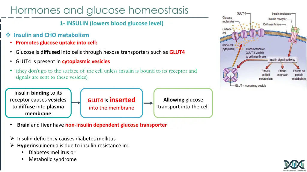 hormones and glucose homeostasis 1