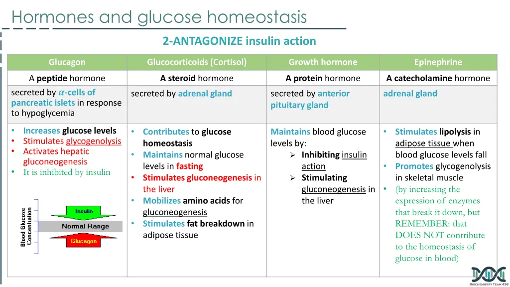 hormones and glucose homeostasis 2