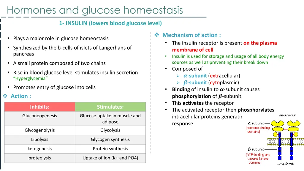 hormones and glucose homeostasis