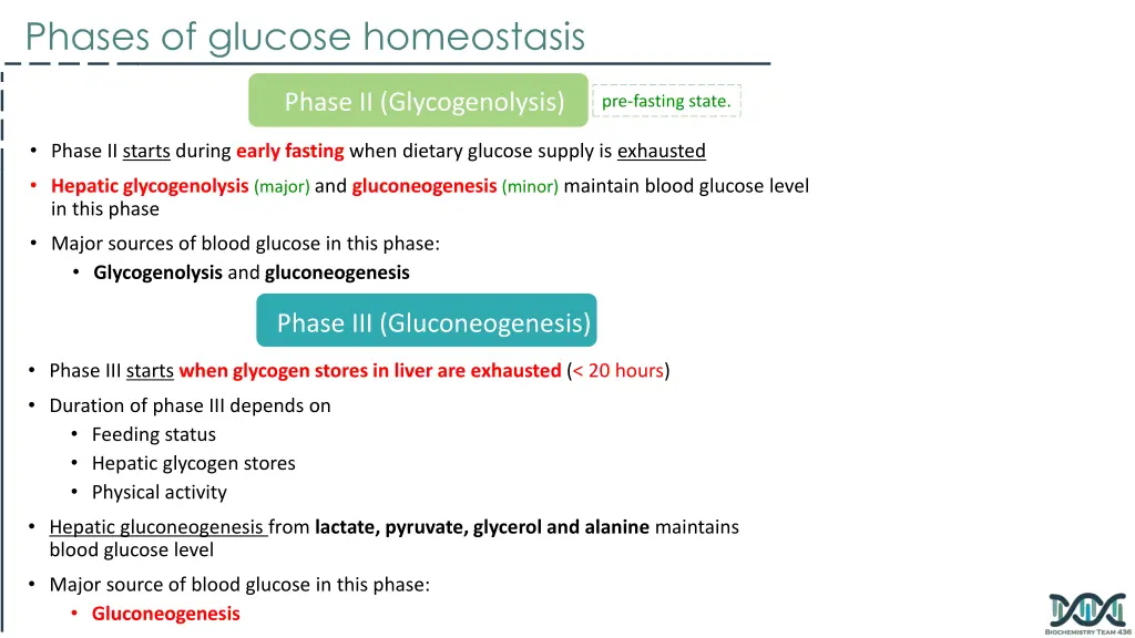 phases of glucose homeostasis 1