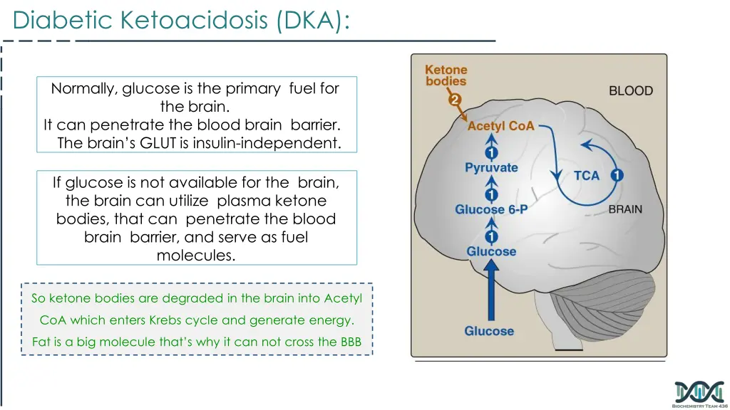 diabetic ketoacidosis dka 2