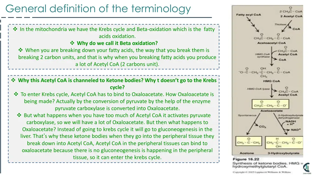 general definition of the terminology