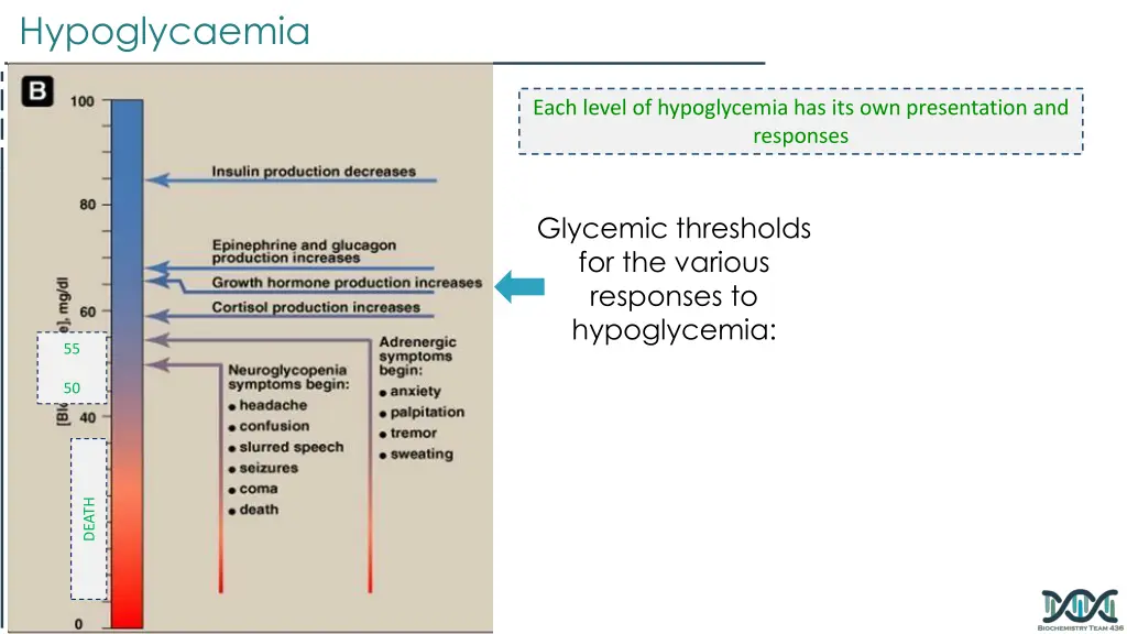 hypoglycaemia 2