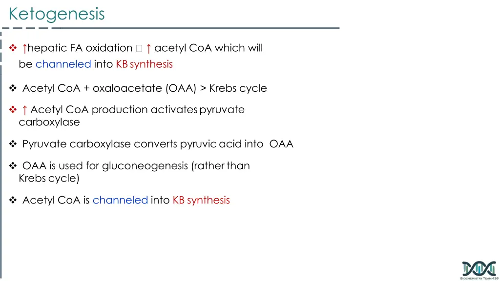 ketogenesis