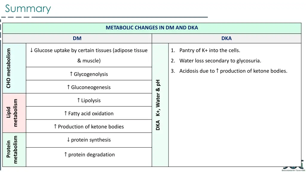 summary 1