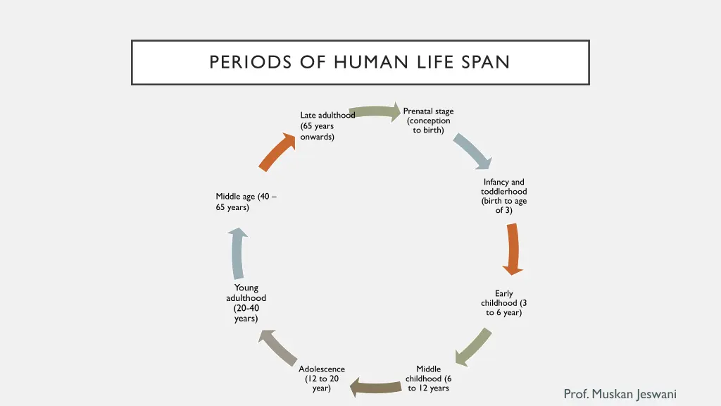 periods of human life span