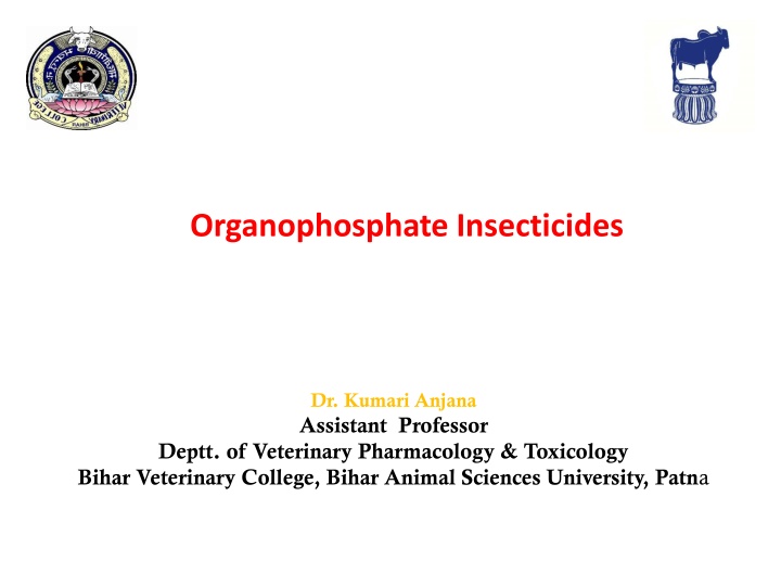 organophosphate insecticides