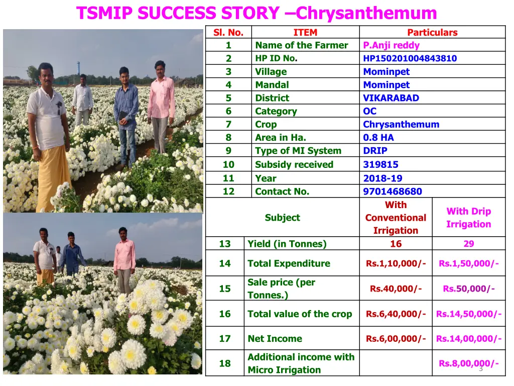 tsmip success story chrysanthemum sl no 1 name