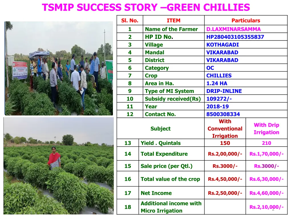 tsmip success story green chillies 1