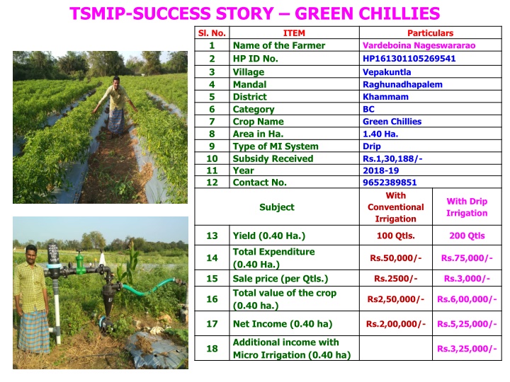 tsmip success story green chillies