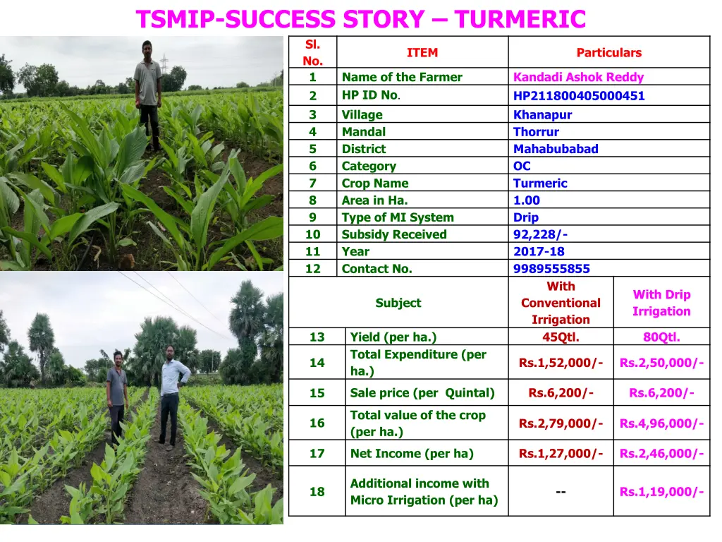 tsmip success story turmeric sl no 1 name