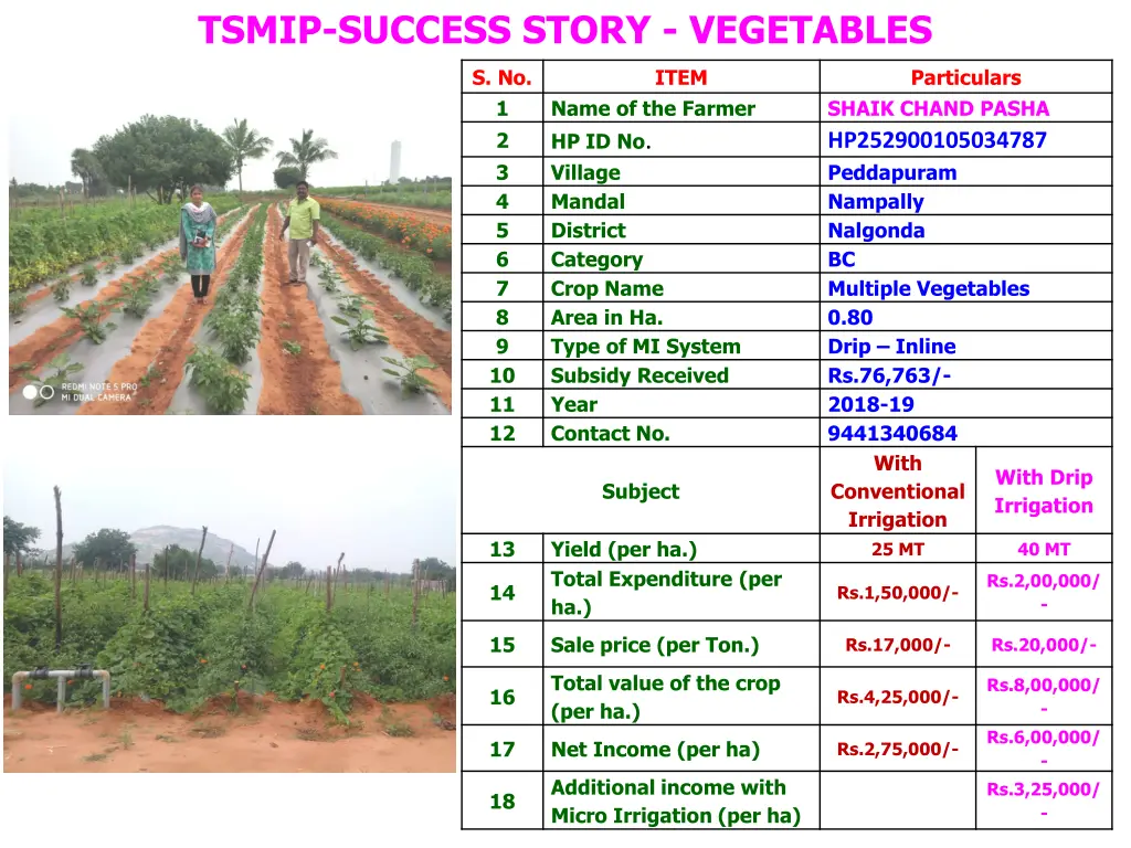 tsmip success story vegetables