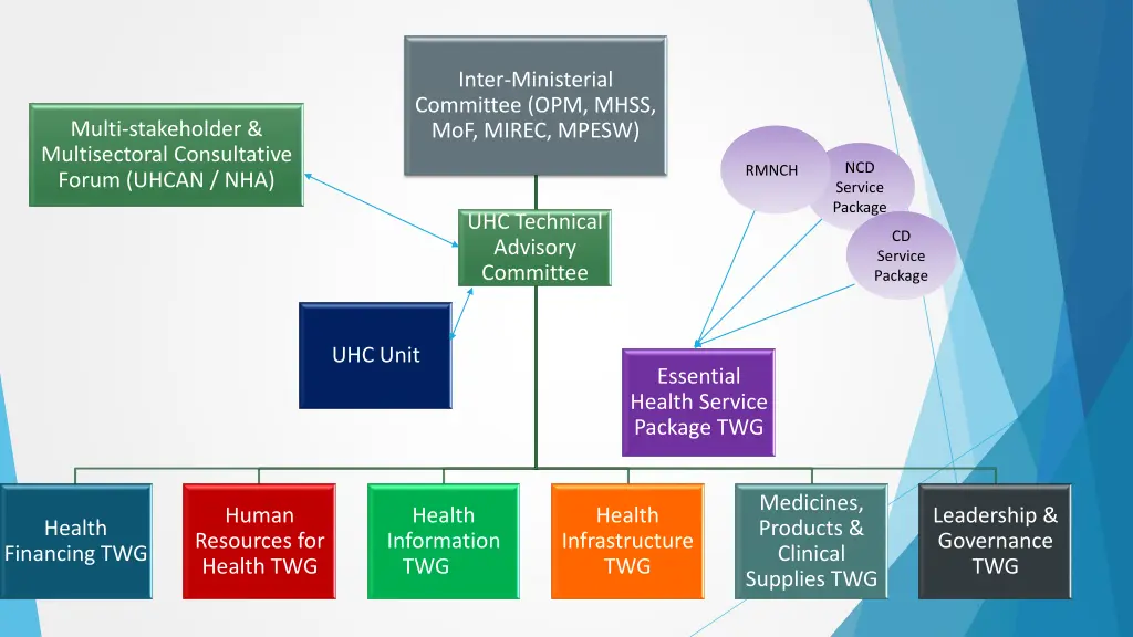 inter ministerial committee opm mhss mof mirec