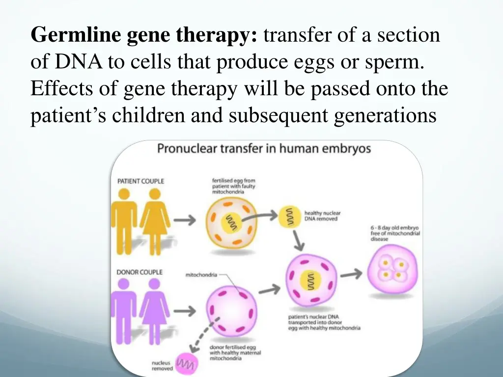 germline gene therapy transfer of a section