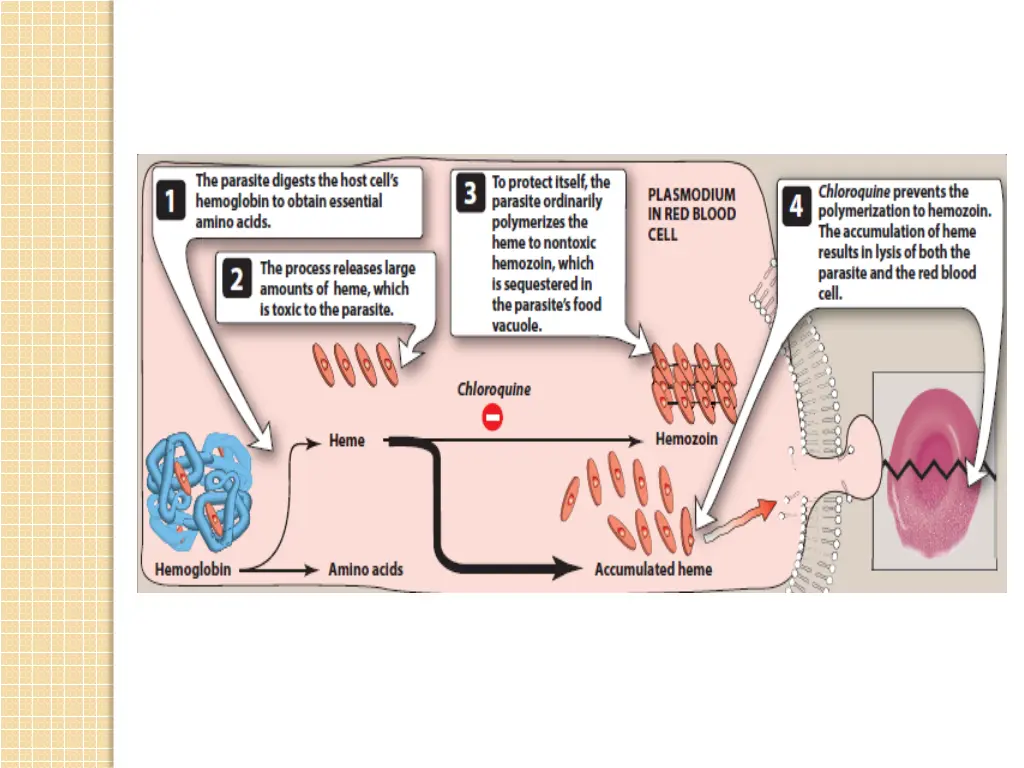 slide18