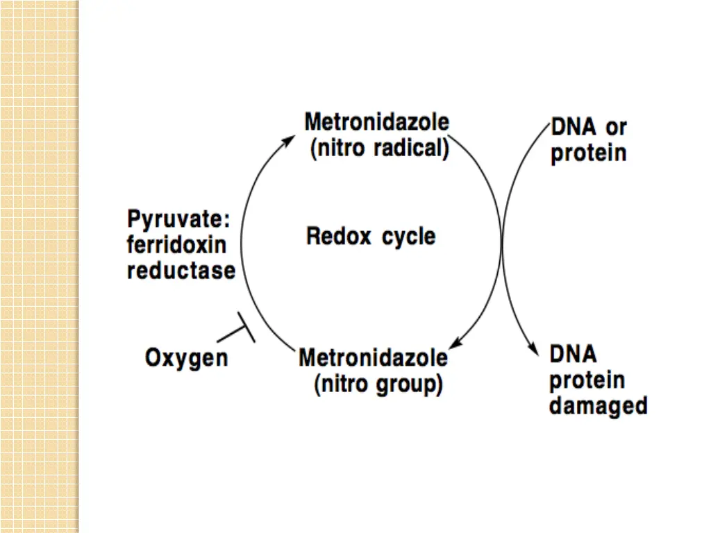 slide6