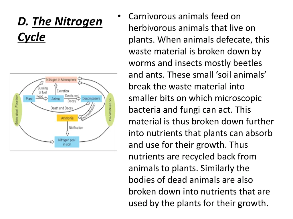 carnivorous animals feed on herbivorous animals