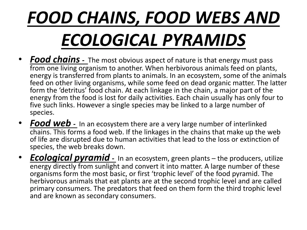 food chains food webs and ecological pyramids