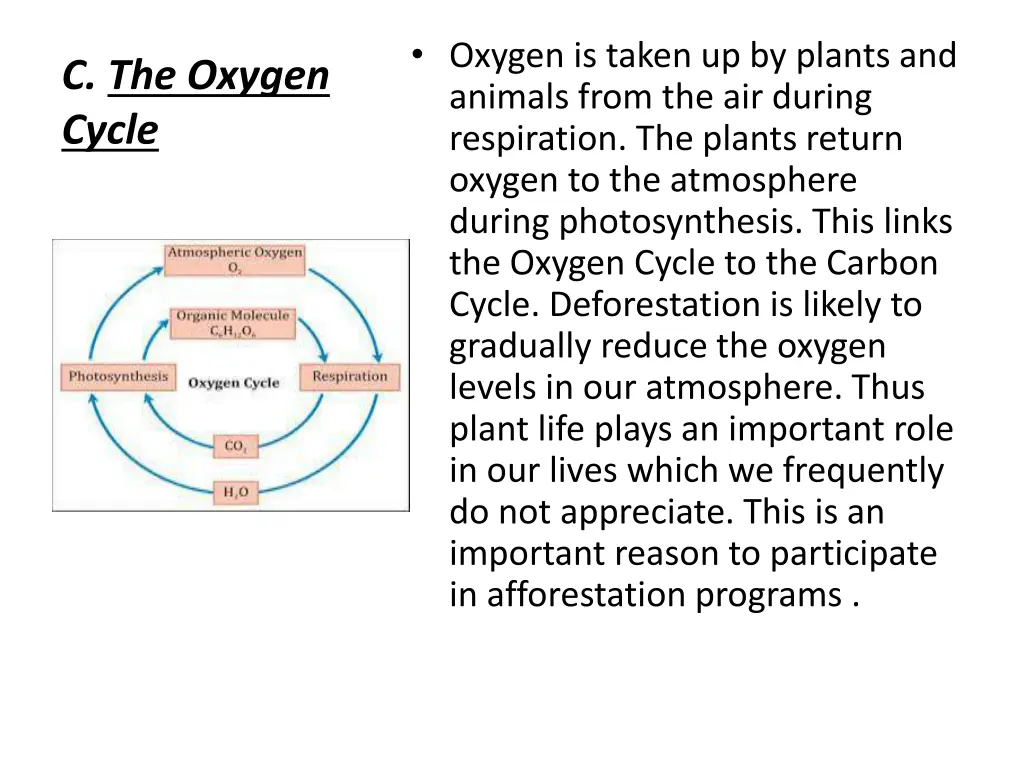 oxygen is taken up by plants and animals from