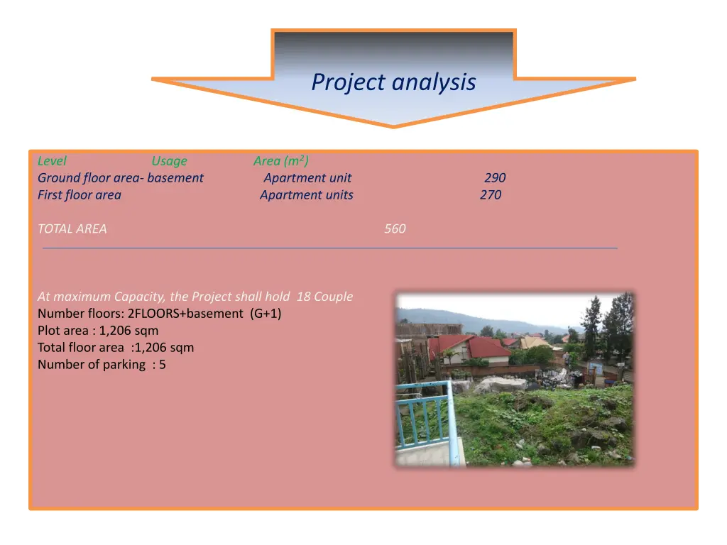 project analysis