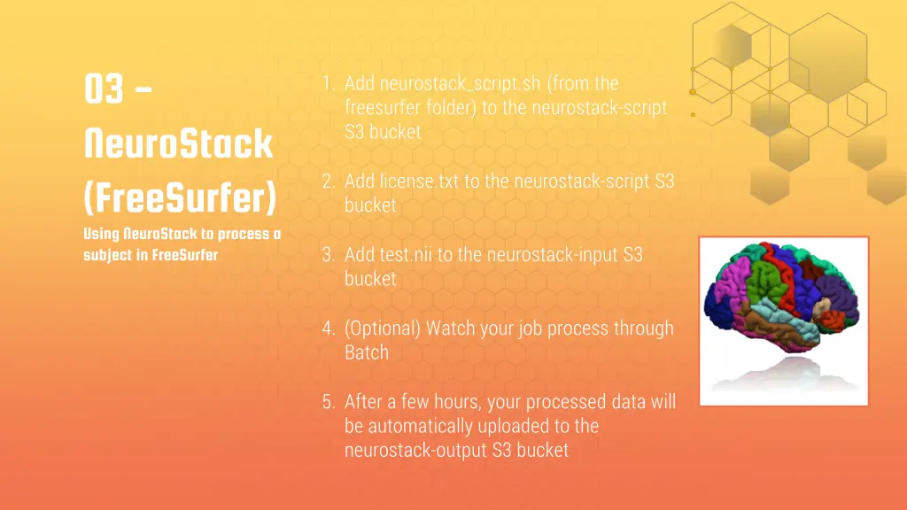 03 neurostack freesurfer using neurostackto