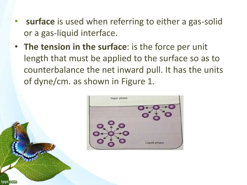 surface is used when referring to either