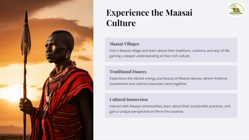 experience the maasai culture