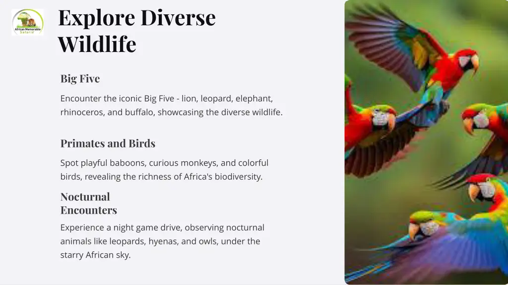 explore diverse wildlife