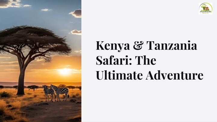 kenya tanzania safari the ultimate adventure